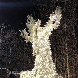 Meet your Posher, Jamshid